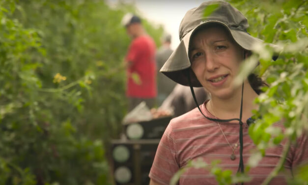 Rescuing Israel&rsquo;s Food Lifeline