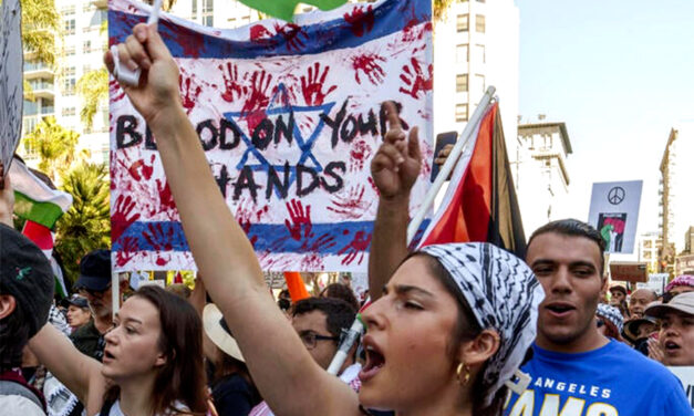 Survey: Young Americans Favor Hamas Taking Over Israel